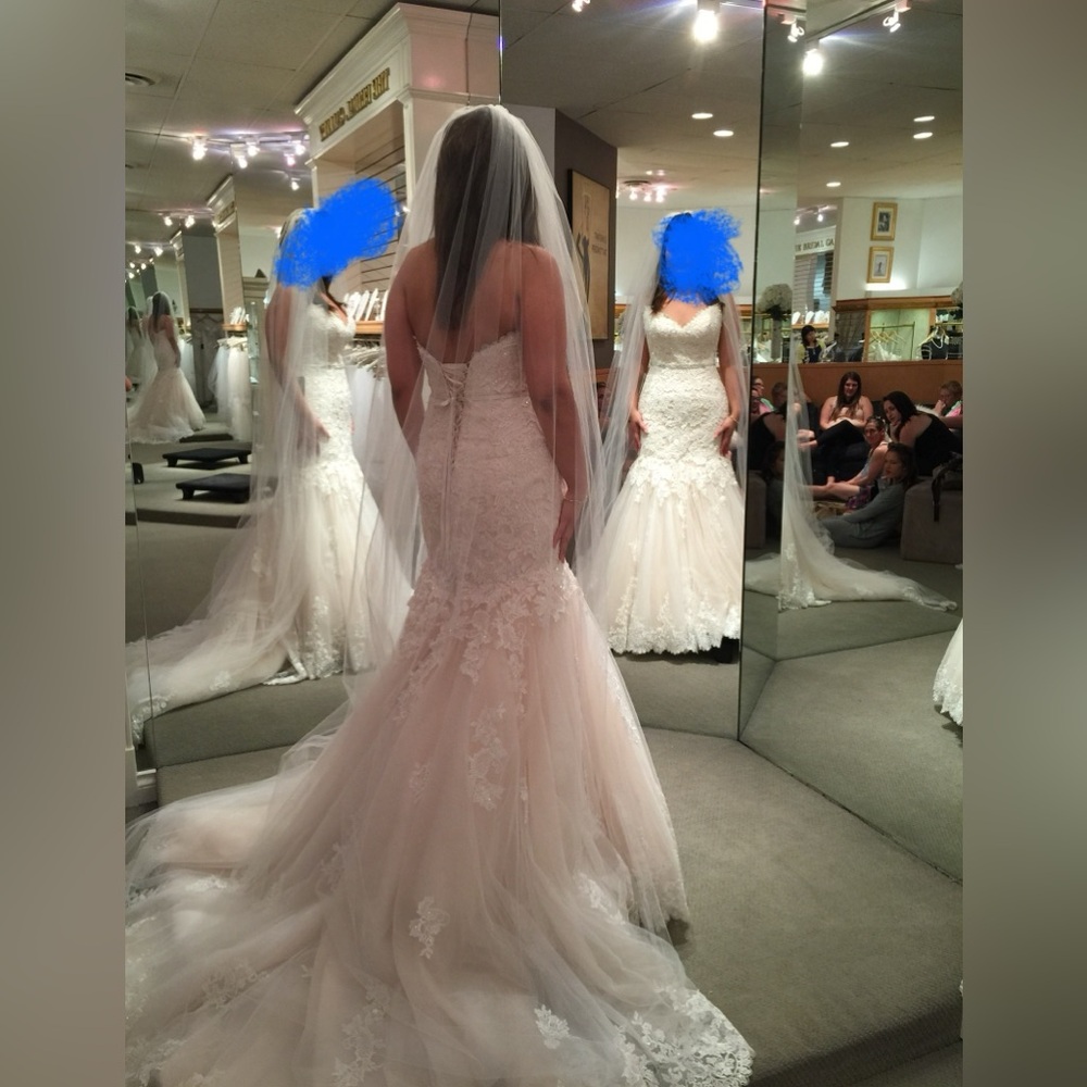 Beautiful timeless mermaid style wedding dress and scallop veil